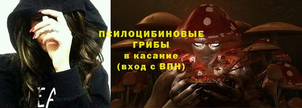 PSILOCYBIN Гусиноозёрск