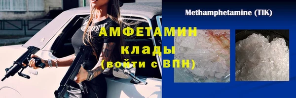 PSILOCYBIN Гусиноозёрск