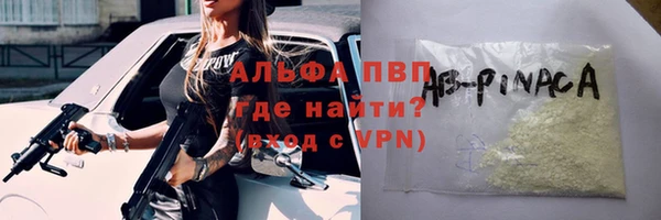 альфа пвп Гусев