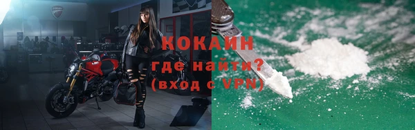 альфа пвп Гусев