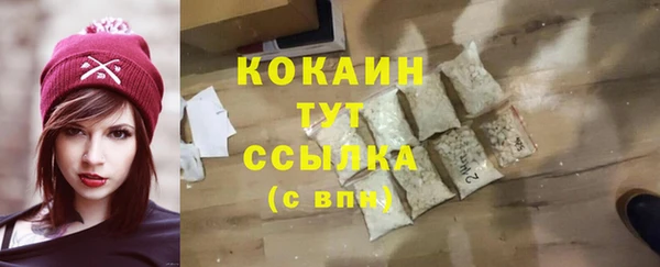PSILOCYBIN Гусиноозёрск