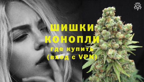 PSILOCYBIN Гусиноозёрск