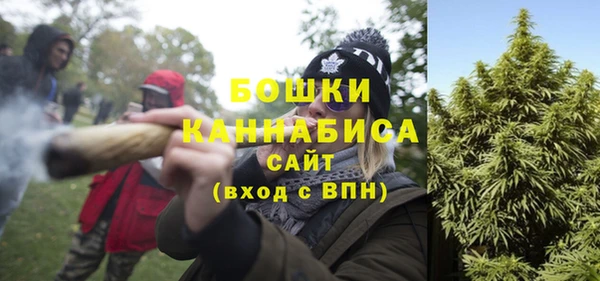 PSILOCYBIN Гусиноозёрск