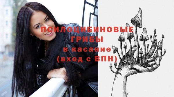 альфа пвп Гусев