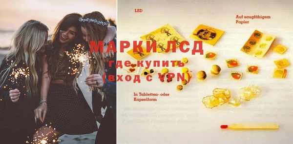 PSILOCYBIN Гусиноозёрск